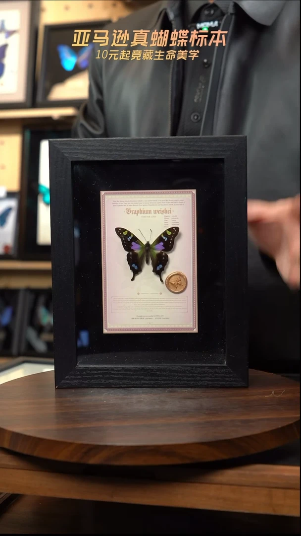 玫瑰青凤蝶设计款8寸黑框