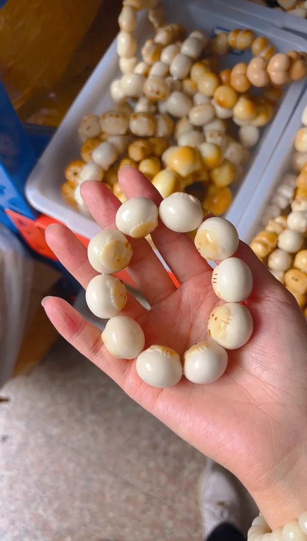 吊坠菩提根/象牙果KT单圈