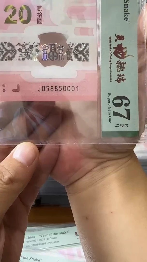 塑料058850001-蛇钞单张