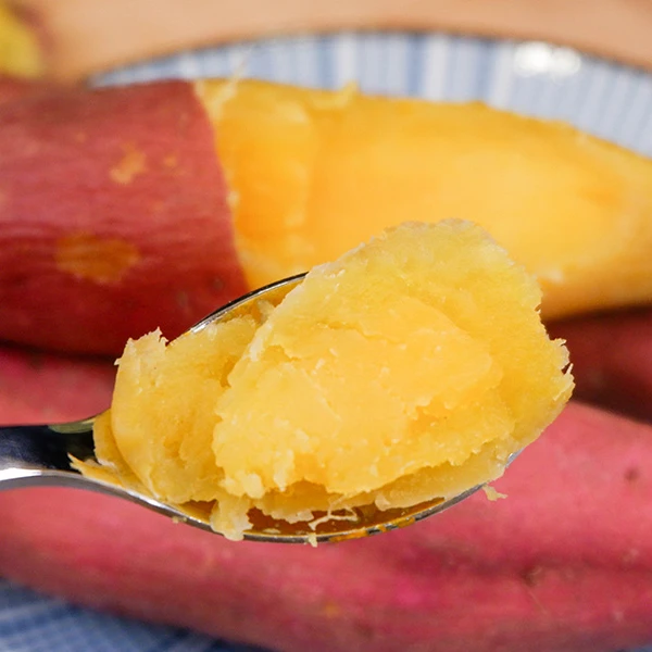 海南小香薯  4.5斤 软糯香甜 现挖现发