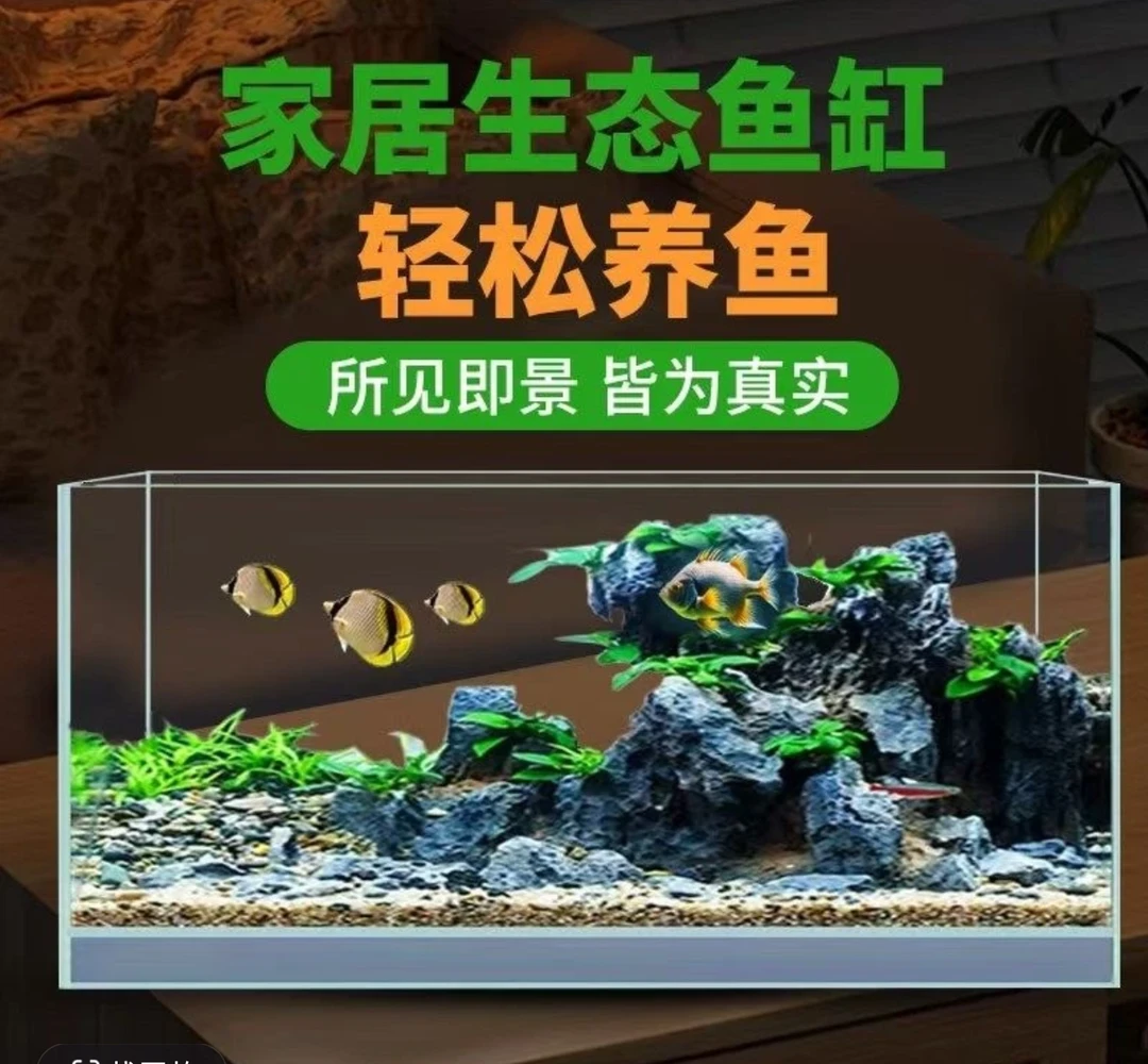 50超白玻璃鱼缸家用中小型桌面缸客厅生态造景水族箱