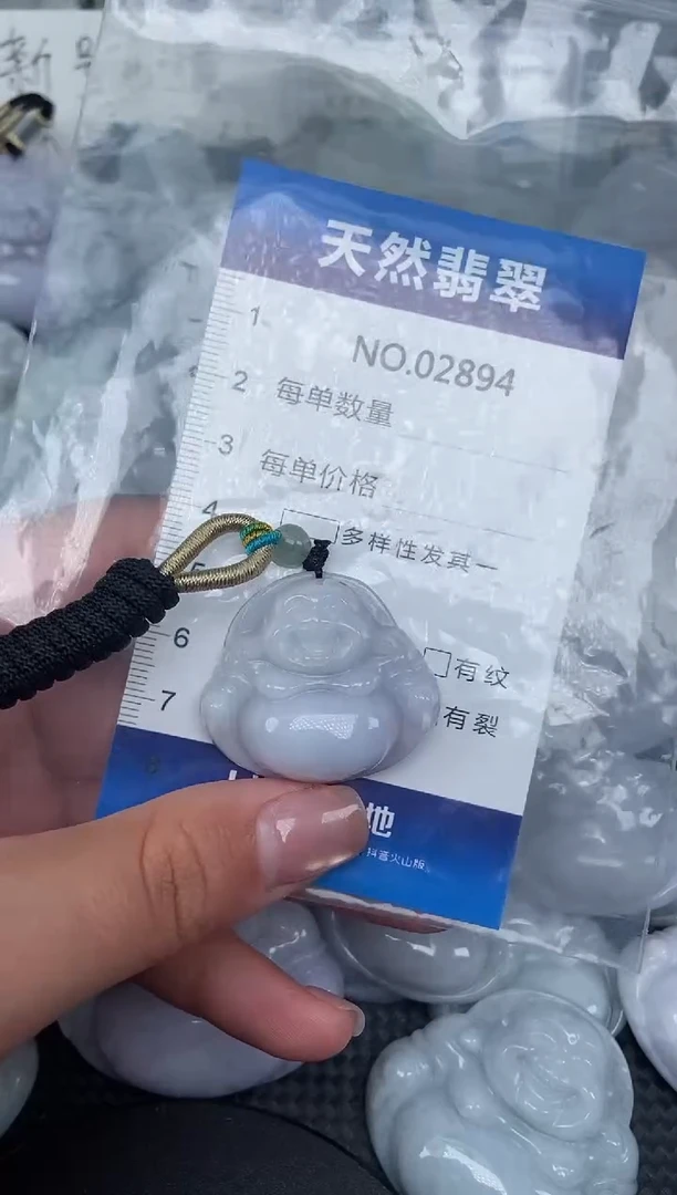 颈饰未镶嵌翡翠纯天然A货翡翠2894