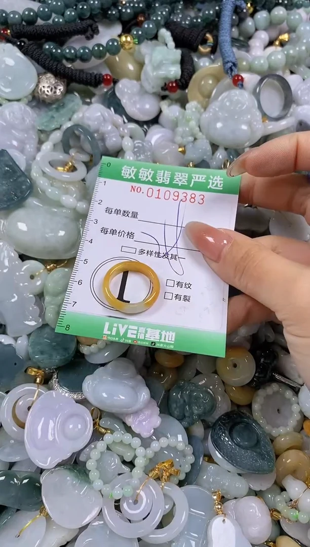 【闪购商品】翡翠颈饰未镶嵌闪购0109383