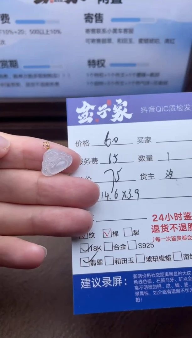 翡翠18K金镶嵌颈饰5379703271