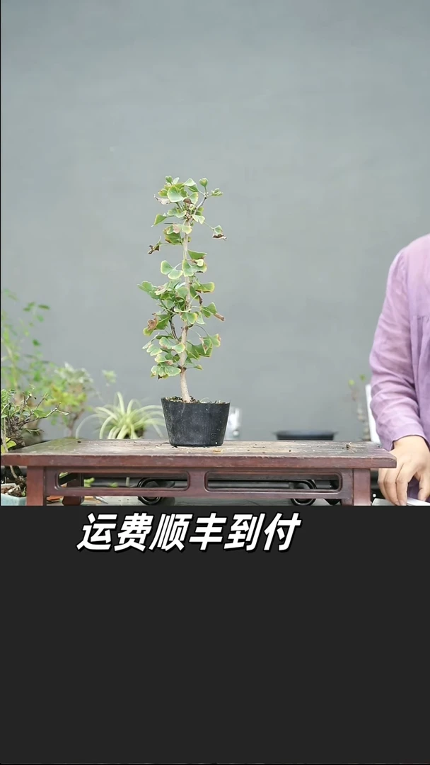 用****活142