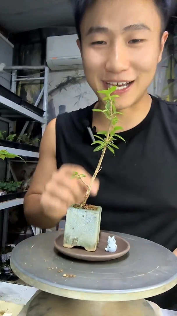 玫**生中青园艺一物一拍116