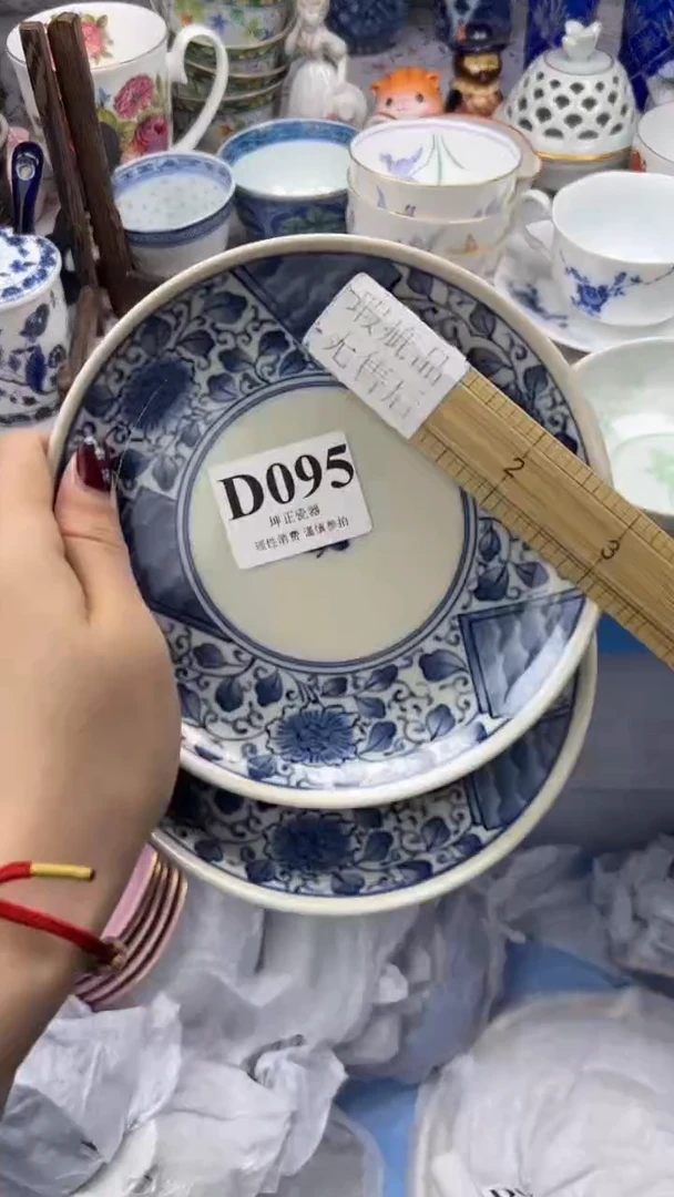 瓷片          D095