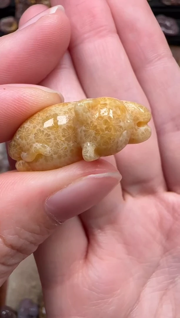 颈饰未镶嵌硅化珊瑚（珊瑚玉）103