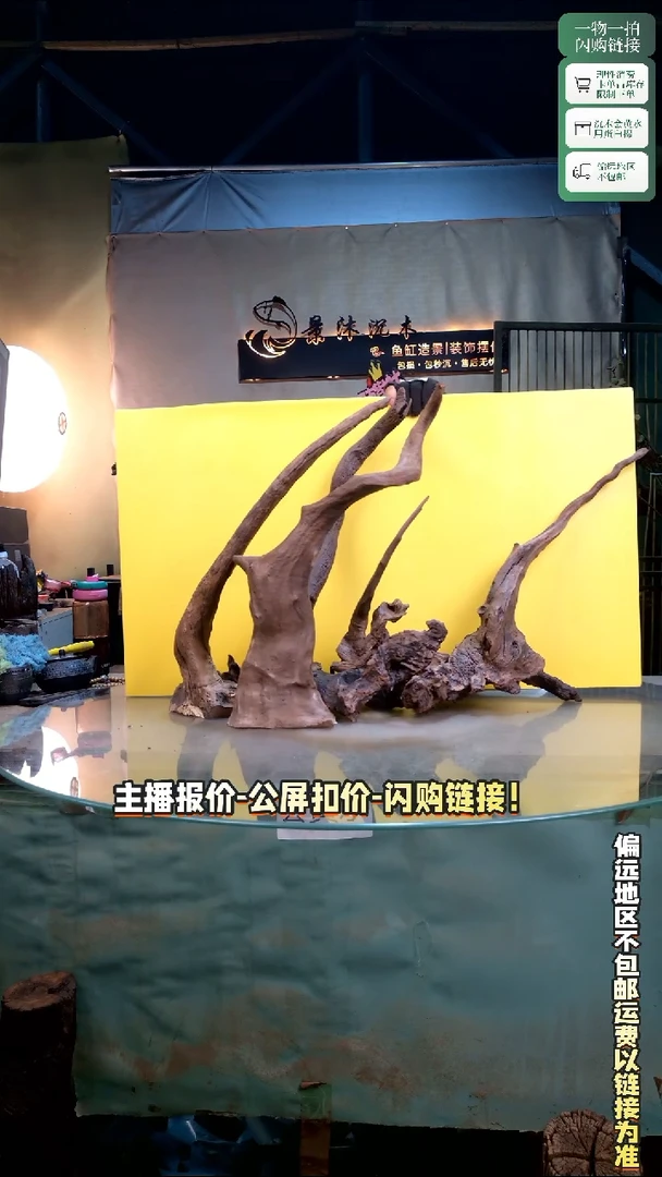 冰***椒景沐沉木C452