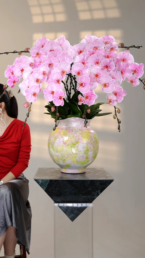 全部花朵035一物一拍蝴蝶兰艺术盆景*