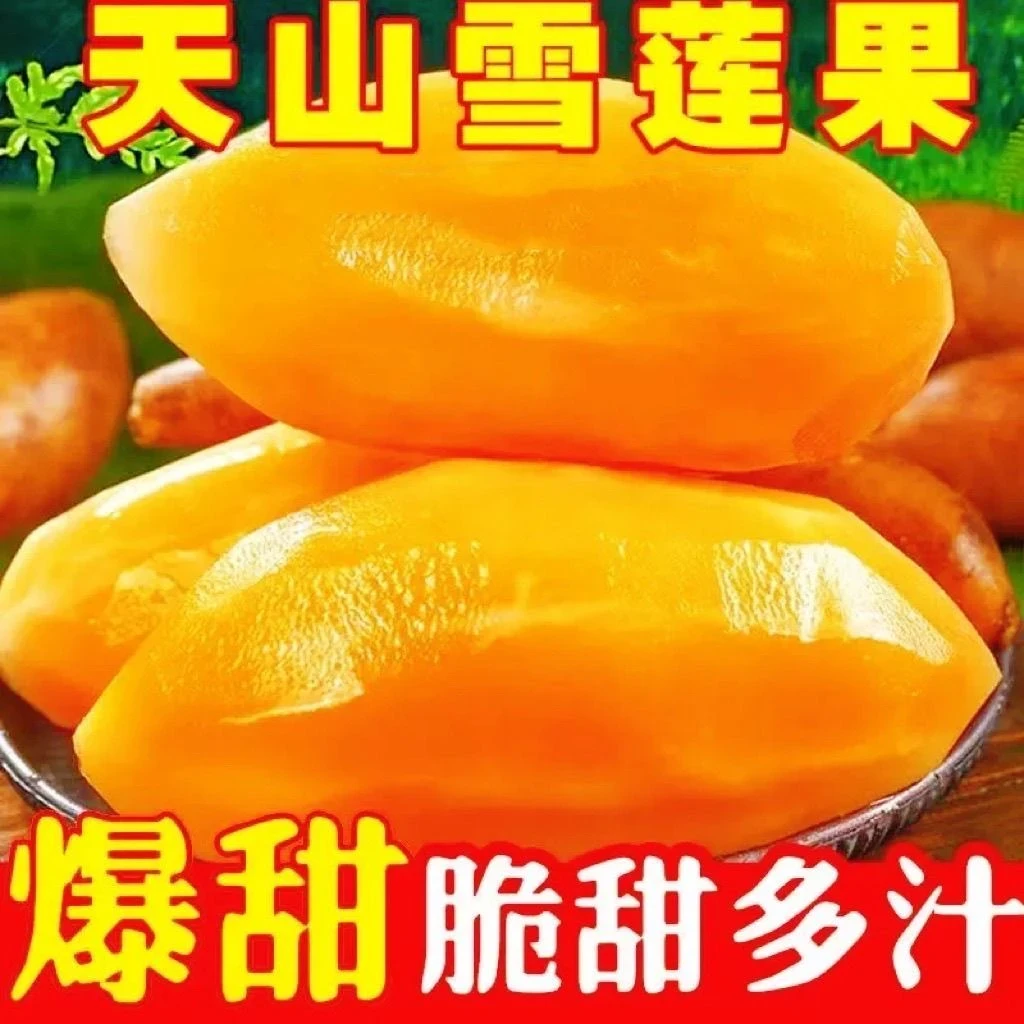 【亏本一万单】云南正宗黄心天山雪莲果现挖新鲜应季水果清甜脆爽q2