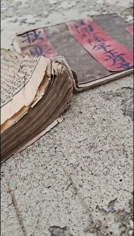 干*杯shu2222222222222