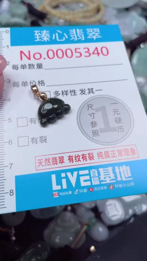 颈饰未镶嵌翡翠5340