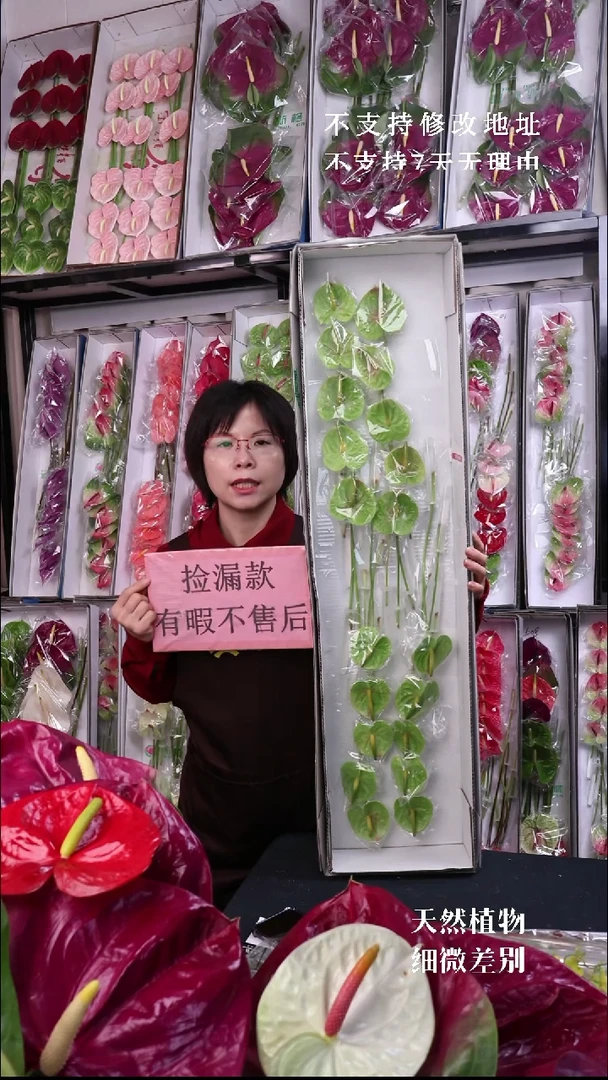 绿掌20支迷你掌，福利放漏微瑕无售后