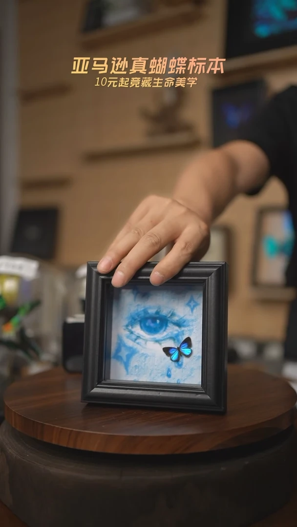 有机玻璃雅灰蝶蓝眼泪