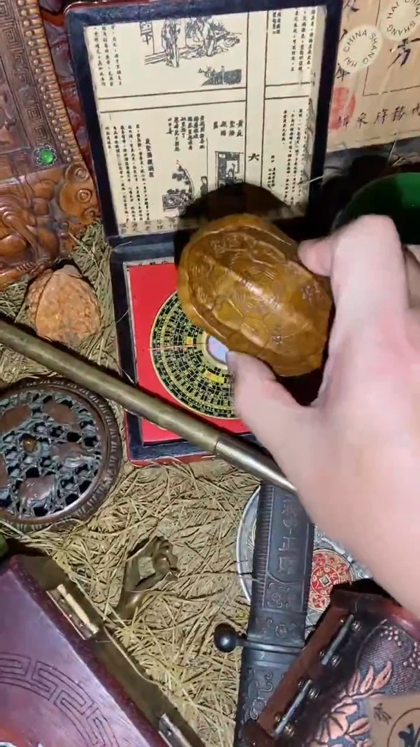 香榧木一一一一一福利