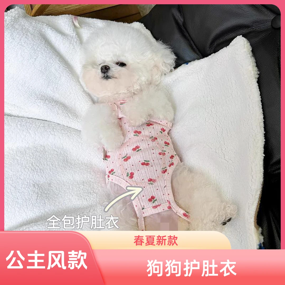 宠物春夏新款包肚衣护肚衣小型犬比熊泰迪小狗狗狗小比熊狗衣服