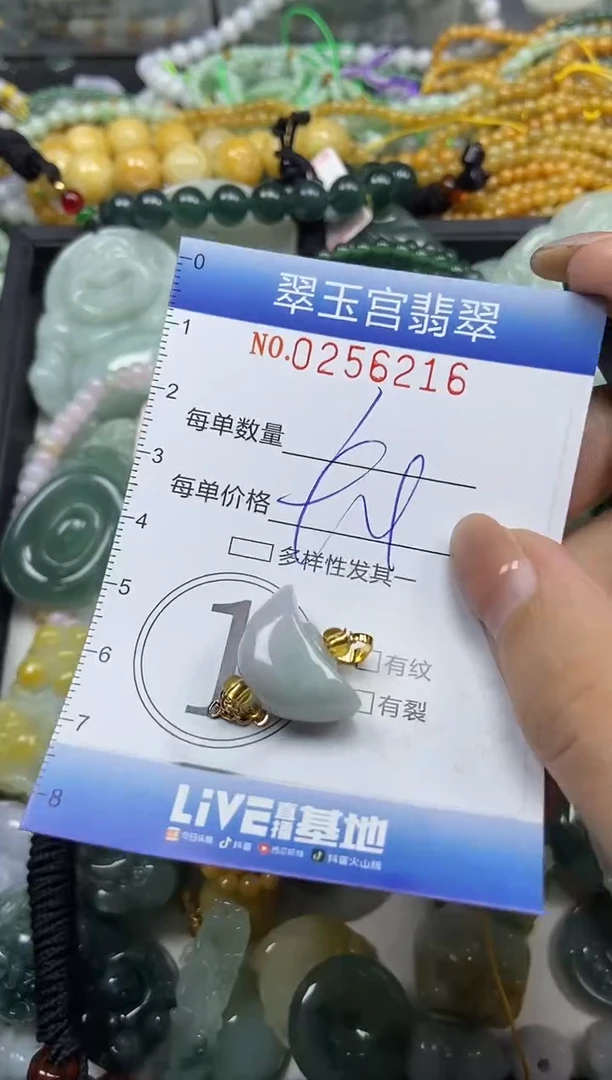 颈饰未镶嵌翡翠闪购C0256216