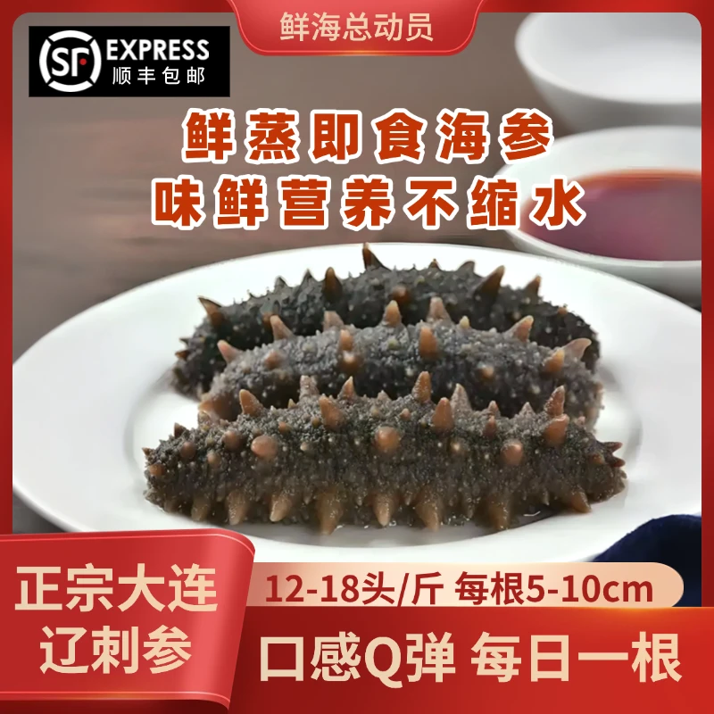 【正宗大连辽刺参12-18头一斤】鲜蒸即食海参辽参鲜美Q弹营养包邮