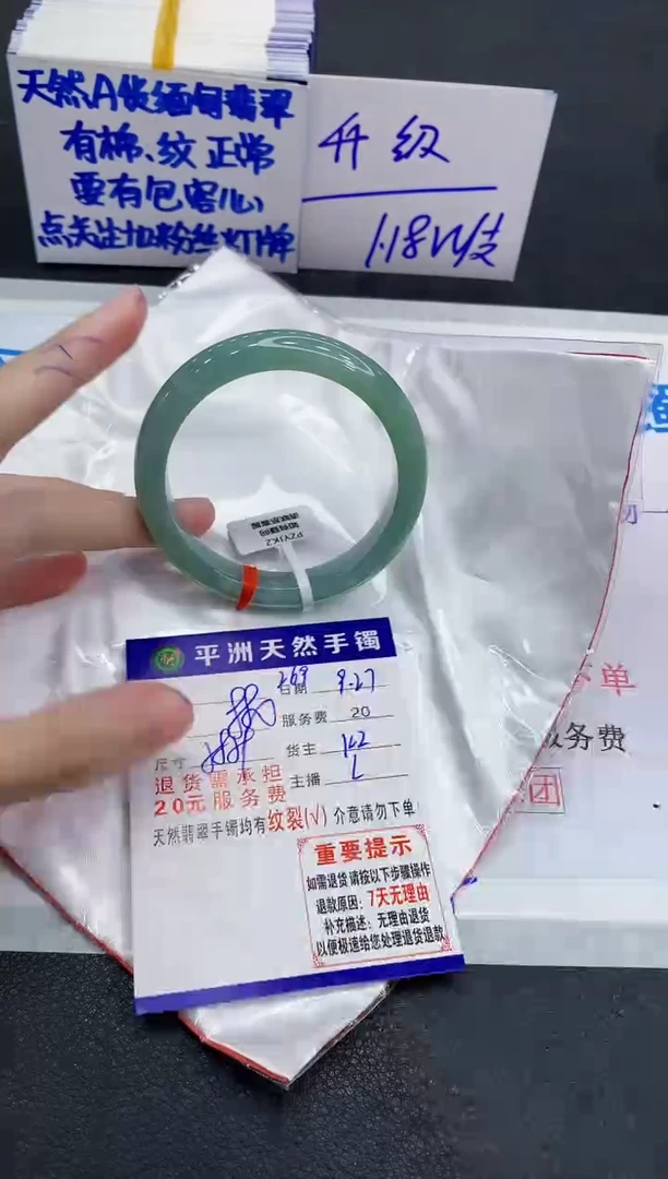 未镶嵌手镯翡翠1
