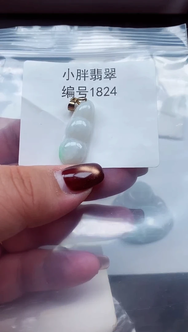 颈饰未镶嵌翡翠缅甸天然A货翡翠1824