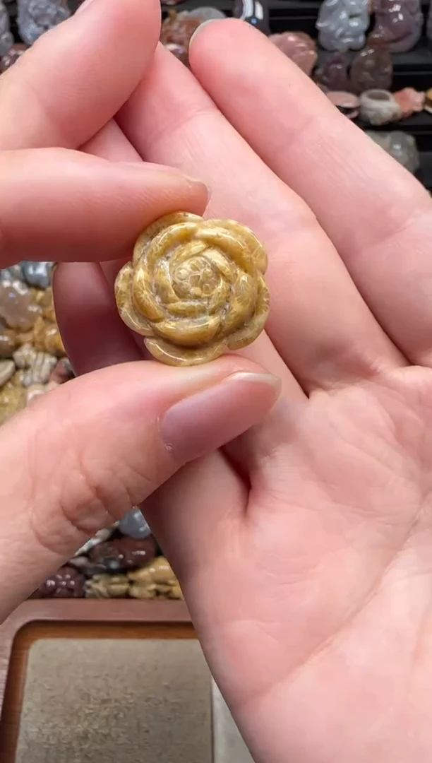 颈饰未镶嵌硅化珊瑚（珊瑚玉）038