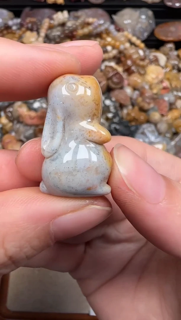 硅化珊瑚（珊瑚玉）未镶嵌颈饰285