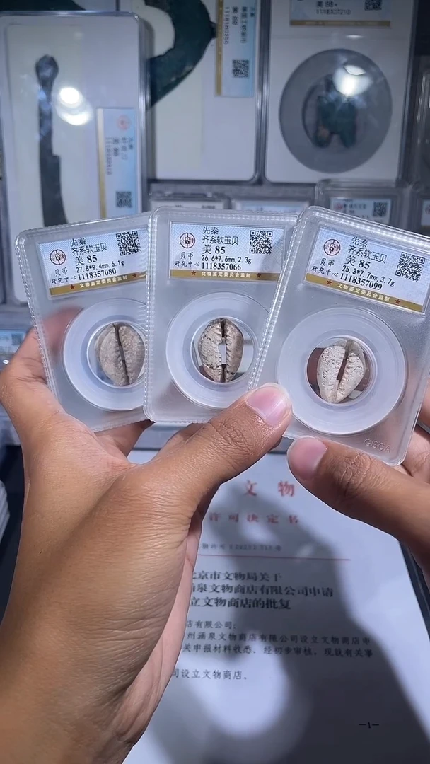 铜琪珍   软玉贝一枚