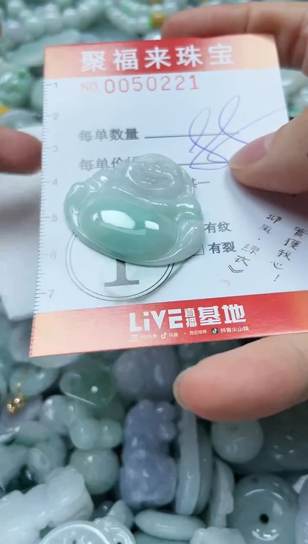 【闪购商品】翡翠颈饰未镶嵌闪购0050221