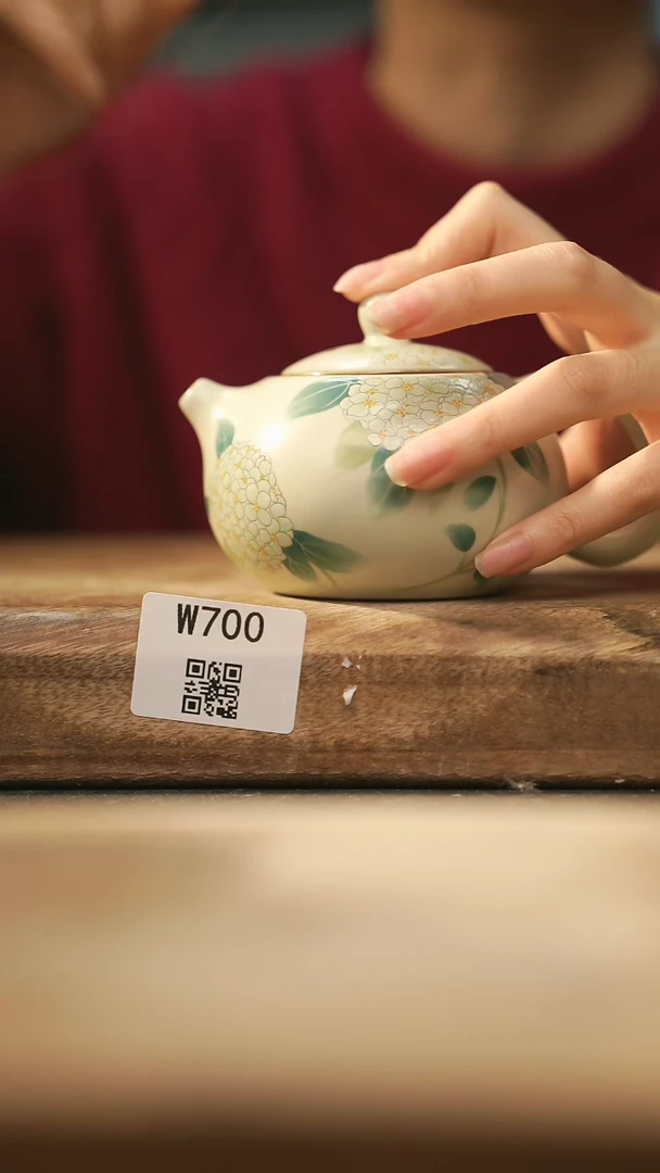 【闪购商品】【经典福利】/ 壶@@W700