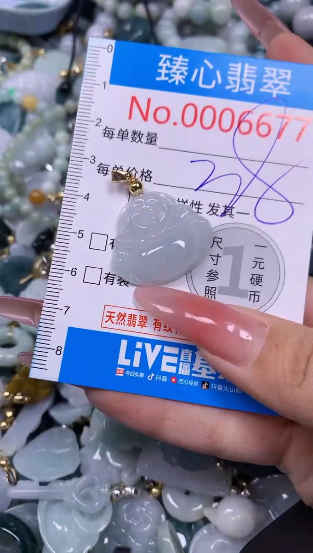 【闪购商品】翡翠颈饰未镶嵌含绳0006677