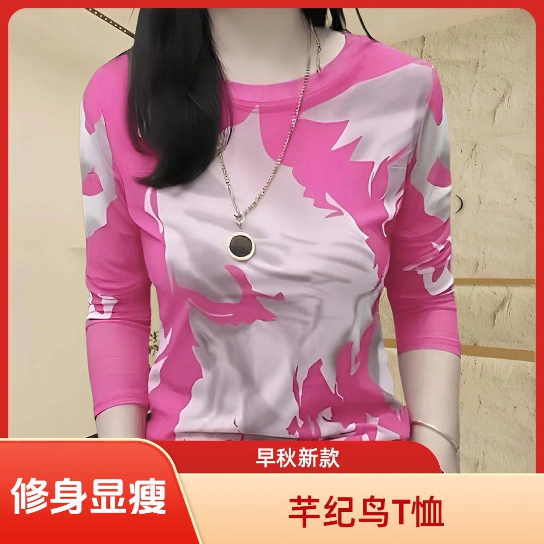 2025早秋印花网纱长袖T恤时尚潮牌新款修身显瘦妈妈装女款圆领t恤