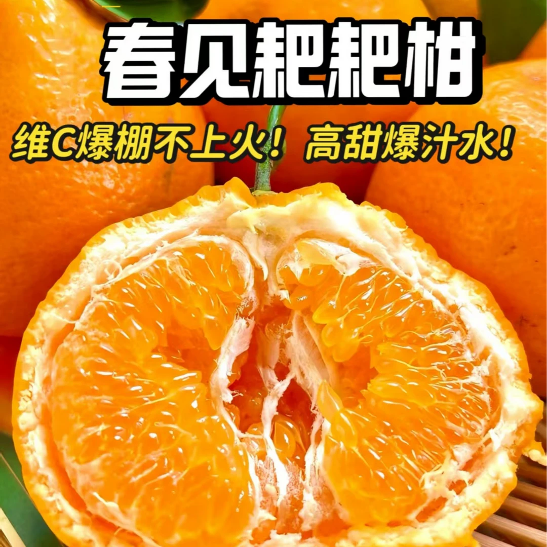 成都果园种植地直发耙耙柑新鲜香甜无渣爆汁当季水果