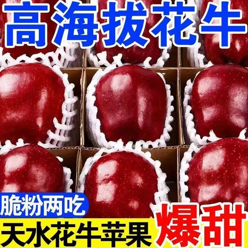Q甘肃天水正宗花牛苹果脆粉两吃当季新鲜水果