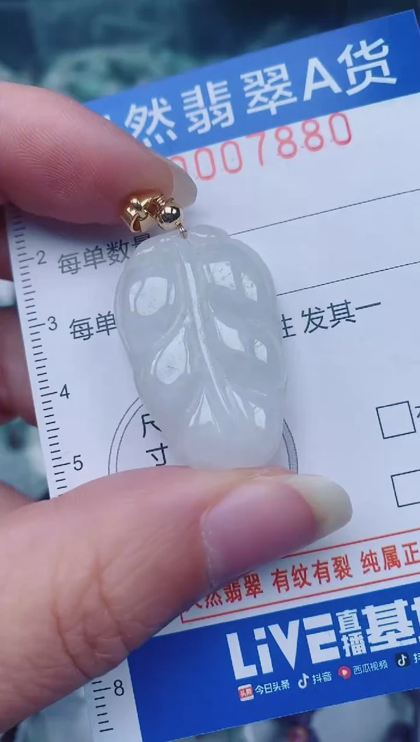 颈饰未镶嵌翡翠00007880