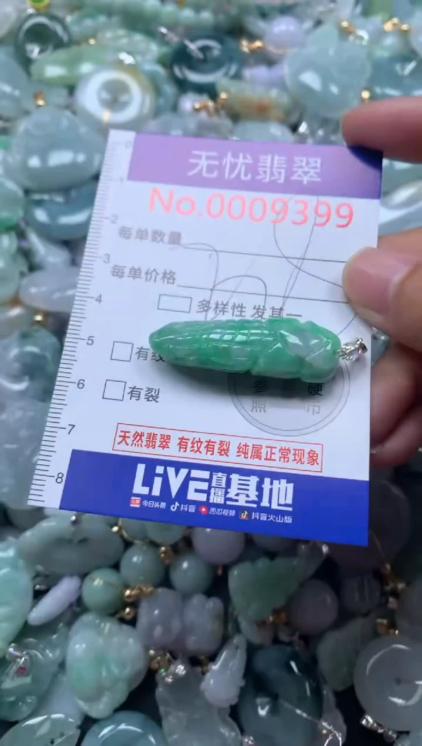 颈饰未镶嵌翡翠9399