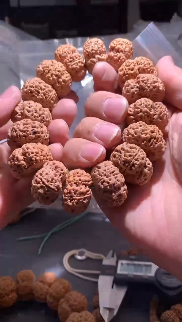 金刚菩提手串542
