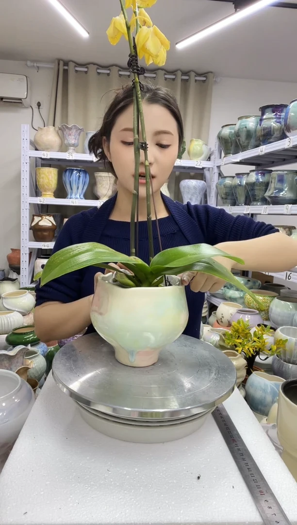 【12.19】花盆链接 高：13  口：12