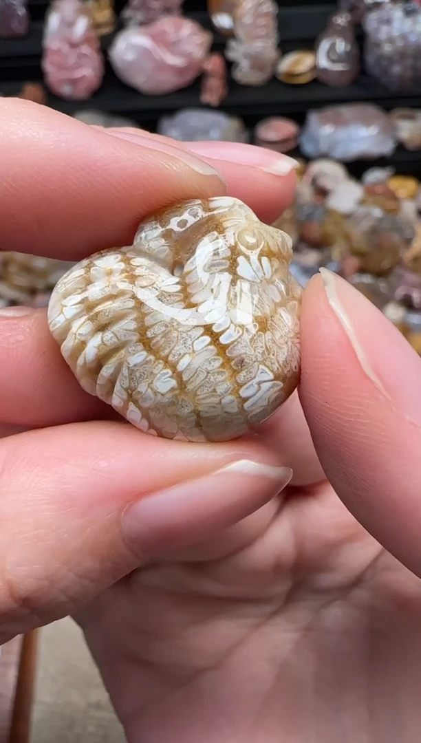 颈饰未镶嵌硅化珊瑚（珊瑚玉）173