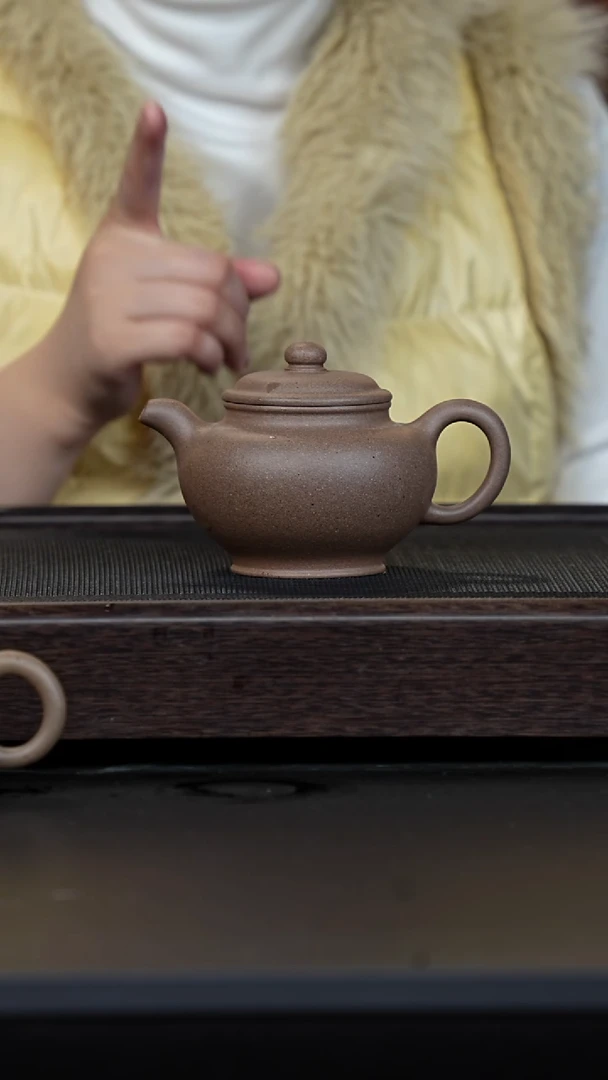 【闪购商品】紫砂茶壶鲨皮青掇只