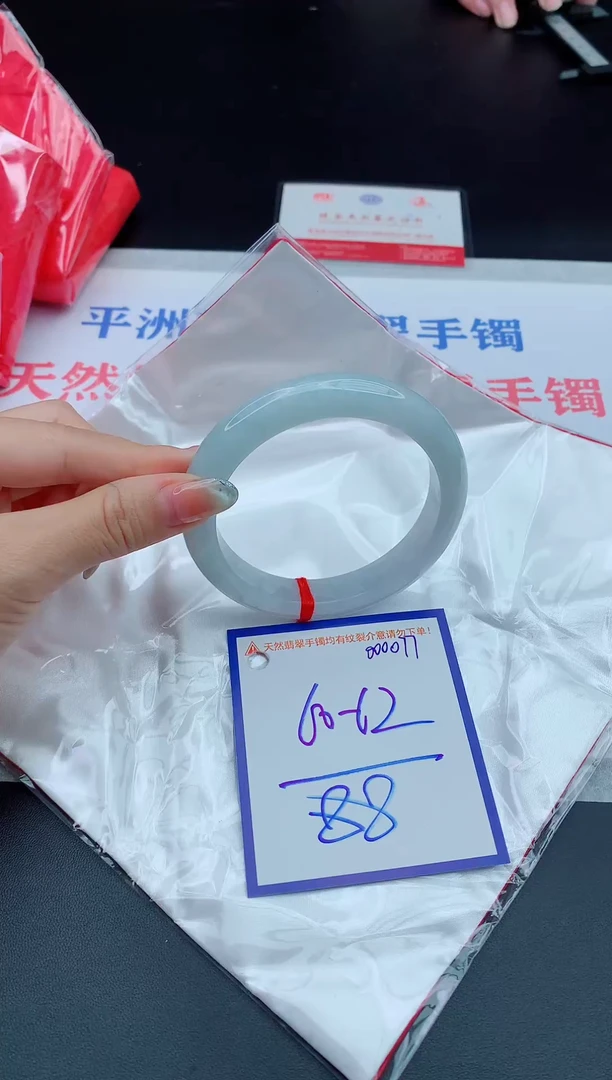 未镶嵌手镯翡翠11111