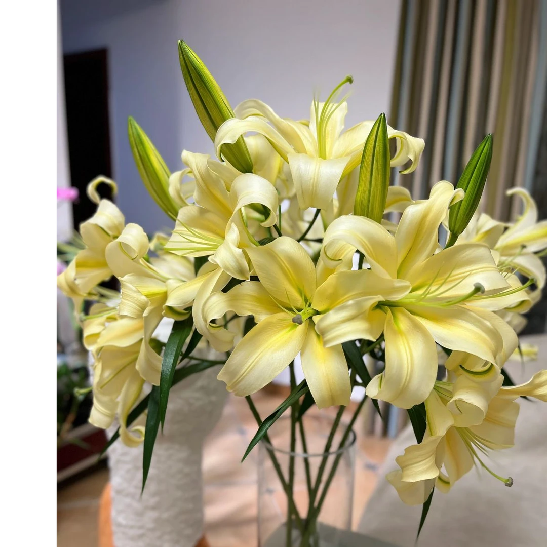 【云上花集】高品质皇帝香水百合3枝多头（不含瓶）