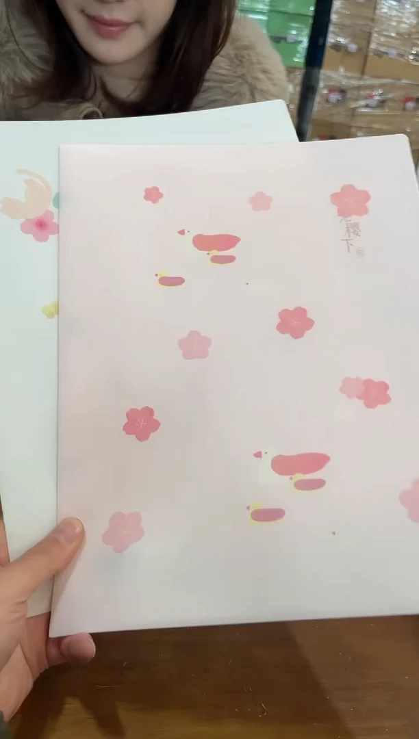 DL 文件夹2个装直播为准