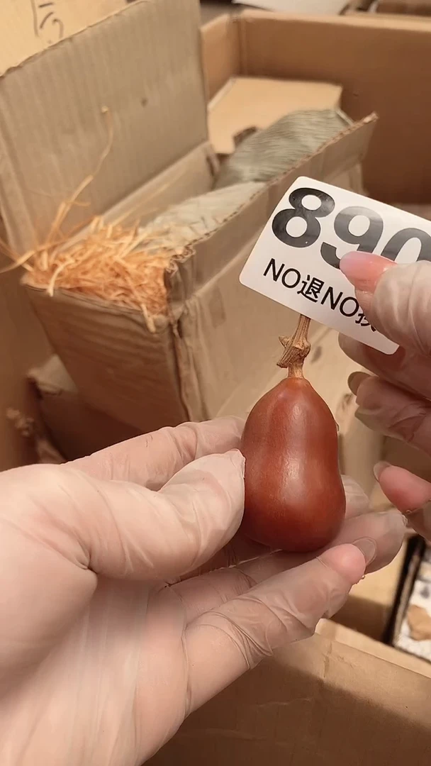 满28包邮默认瑕疵 不退不换890