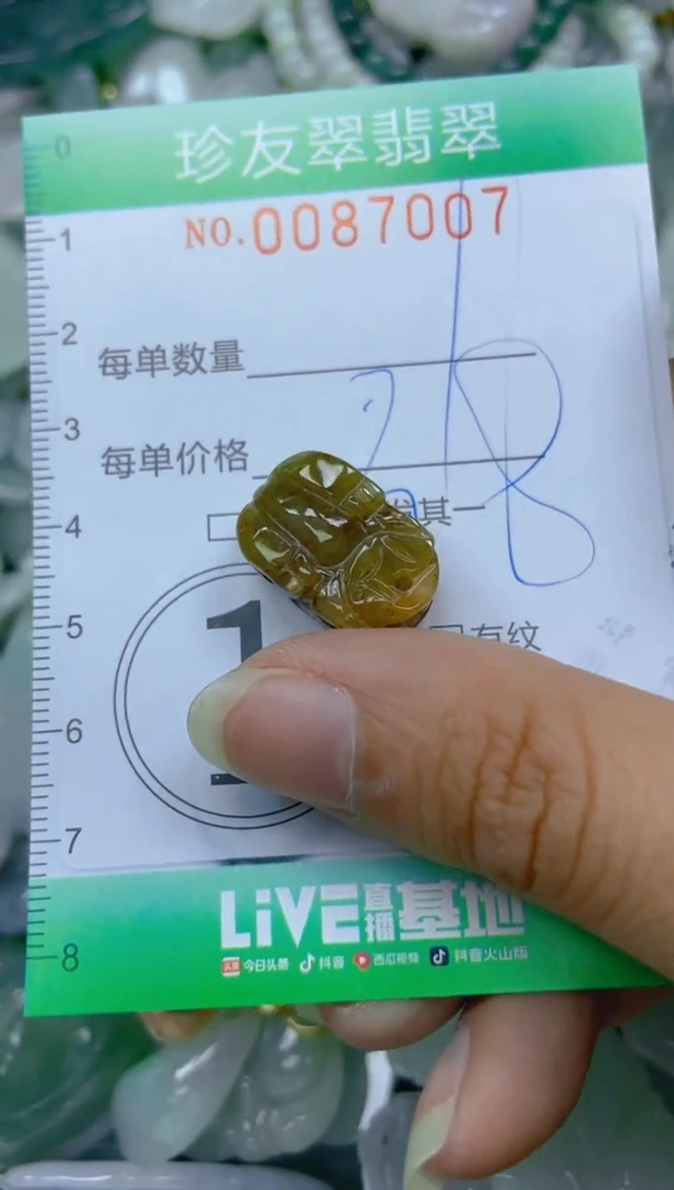 【闪购商品】翡翠颈饰未镶嵌闪购0087007