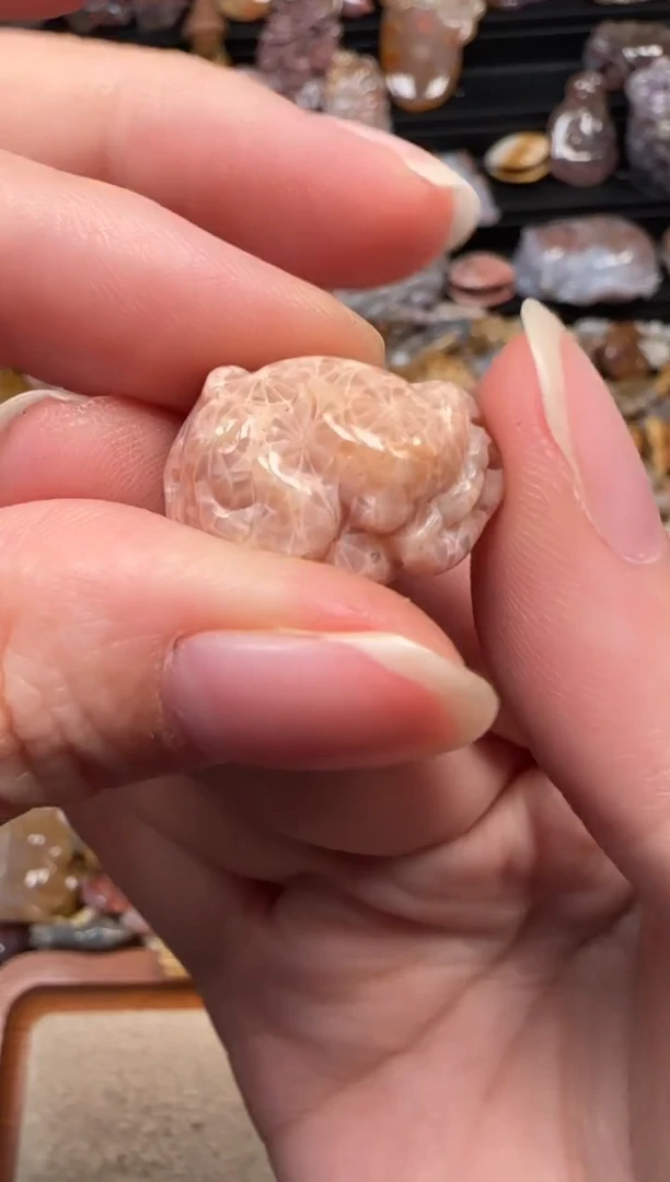 颈饰未镶嵌硅化珊瑚（珊瑚玉）445