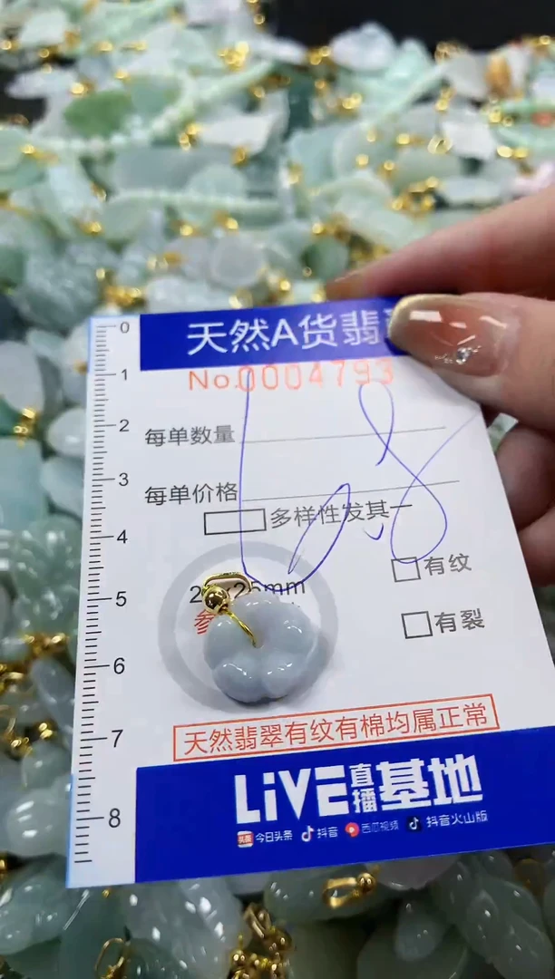 颈饰未镶嵌翡翠天然A货翡翠