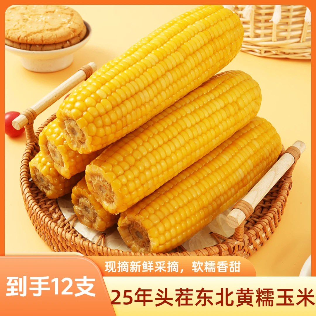 (试吃5支)25年头茬东北黄糯玉米现摘香甜软糯12支装新鲜采摘
