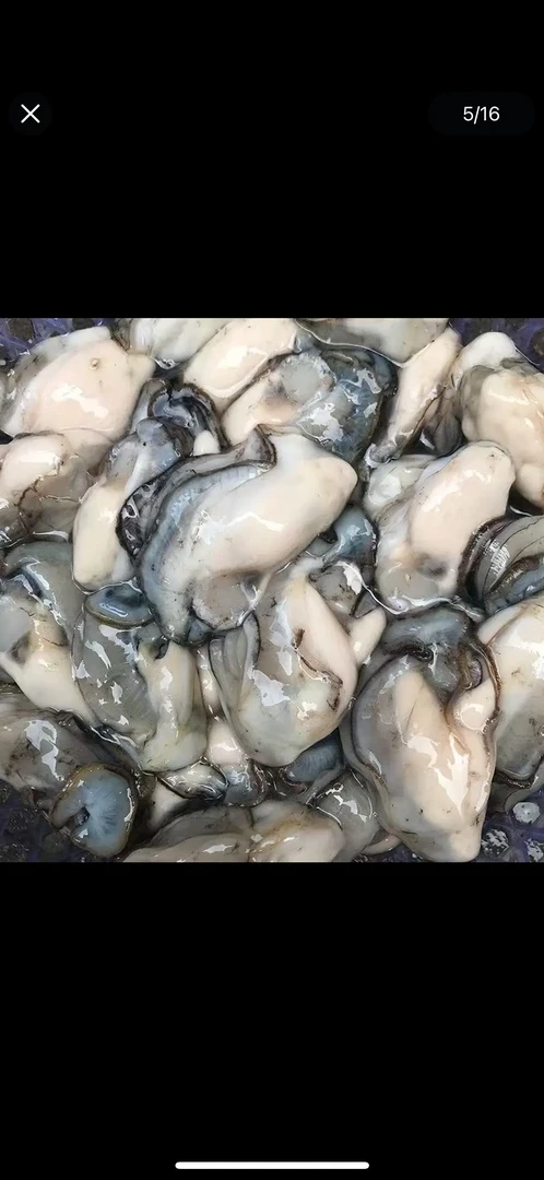 新鲜二倍体生蚝肉珍珠小面蚝250克/盒到手10盒含原浆每盒8-15左右