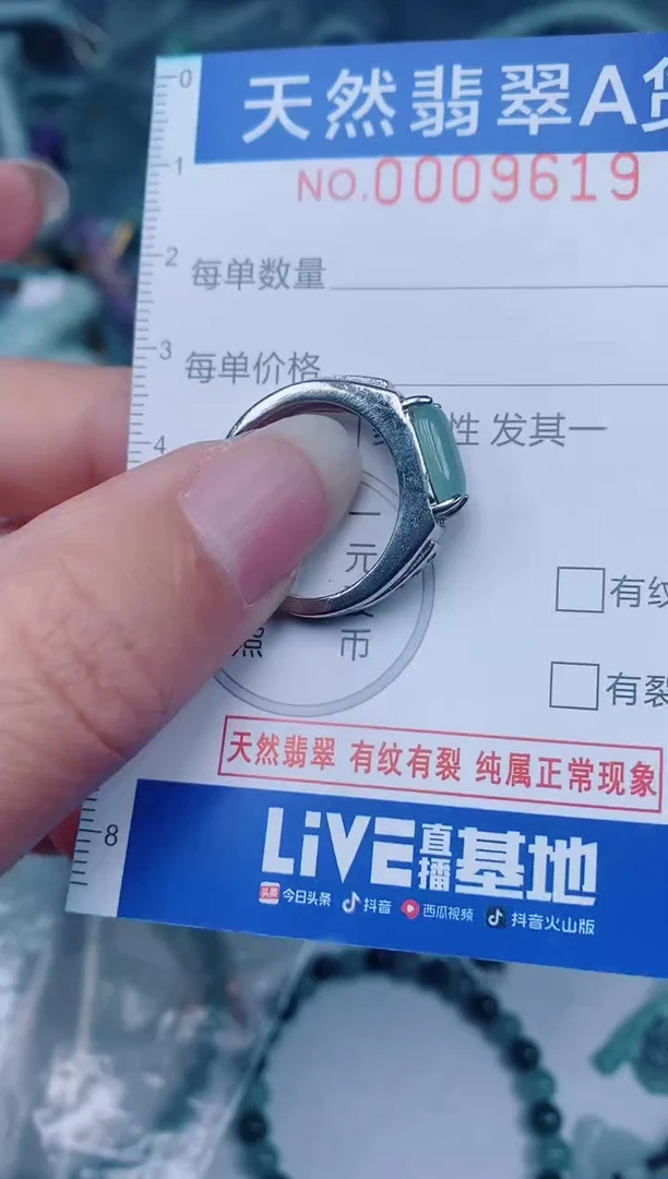 颈饰未镶嵌翡翠00009619